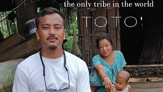 TOTO PARA||the only tribe in the world||darjeelingey kancha||