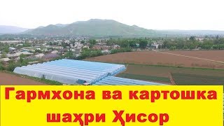 Гармхонахо ва картошка дар Хисор