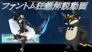 【PSO2】ファントム狂想解説動画