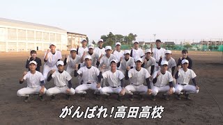 甲子園へダッシュ！2022  野球部紹介 ⑦高田高校（新潟県上越市）