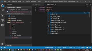 Template Metaprogramming 33 - Static Polymorphism in C++
