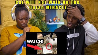 Christians React To Cats Would Not Walk On The Quran (Experiment)