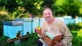 Introduire des reines en toute sécurité avec la réunion de colonies - Apiculture S03E12