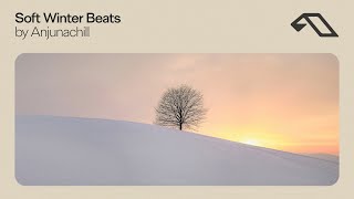 gentle motivational beats for a winters morning ~ 1 hour mix of downtempo lofi electronic music