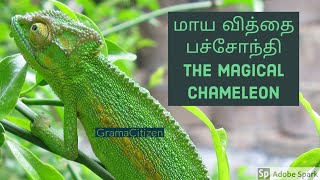 மாய வித்தை பச்சோந்தி  The magical chameleon