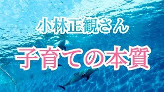 小林正観さん【子育ての本質とは「子供の芽を摘まないこと」なのです】