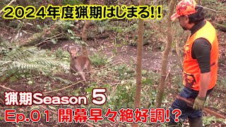 【猟期 シーズン 5】Ep01 2024年度の猟期開幕！好調な幕開け！【猪】【鹿】【わな猟】【狩猟】