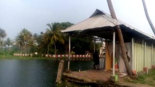 മനോഹരമായ കുമരകം KUMARAKAM BACKWATER. KOTTAYAM DISTRICT. FAMOUS FOR HOUSE BOAT AND PEARL SPOT FISH