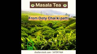 😋Masala Tea 🍵 made from Ooty Chai ki patti #myfirstvlog #vlog #couplegoals #shorts #tealovers