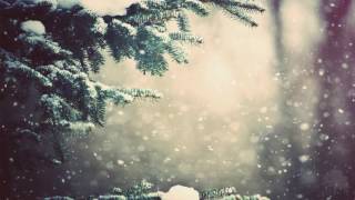 Winter Mist - Wallpaper Engine