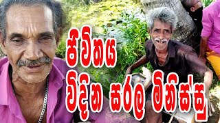 Jivithaya Vidina Minissu Talk With Saffron /ජීවිතය විදින මිනිස්සු /සිංහල සින්දු /music video/