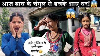 कैसे जान बचाई मां ने बताई पूरी बात!😱||आज बाघ से हो गया था सामना!🥲||