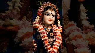 तेरी कट जाएगी वादा तू जपले राधा राधे राधे#viral #shorts #subscribe 😭#vrindavan #radhkrishna #radhey