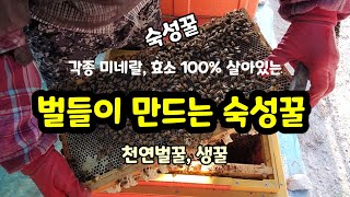 벌들이 만드는 숙성꿀 각종 미네날,효소 100% 살아있는 천연벌꿀 생꿀