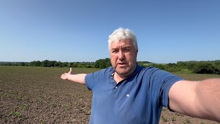 😱Густина посіву має значення‼️не загустив значіть заробив на KINZE‼️🛠🚜💙💛