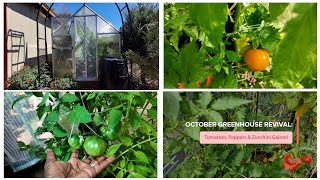 October Greenhouse Revival | Tomatoes, Peppers, Zucchini Galore!