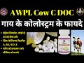 Benefits of Colostrum | Colostrum Ke Fayade | Cow C Doc Awpl | Striker Guru Ji