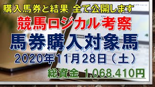 【競馬ロジカル考察】ｰ馬券購入対象馬ｰ 2020年11月28日（土）購入馬券と結果 全て見せます（血統、指数、考察、予想）