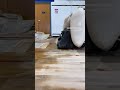 Gym Floor Sanding