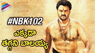 Balakrishna 102 Movie Latest Update | #NBK102 Movie | KS Ravi Kumar | C Kalyan | Telugu Filmnagar