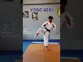 yogo geri