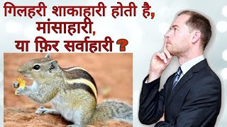 गिलहरी क्या खाती है / real facts /गिलहरी शाकाहारी होती है???