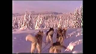 1998   Training Siberians in Jeppedalen