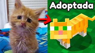 Adopté a Estas Gatas y Las Añadí a mi Mundo de Minecraft!