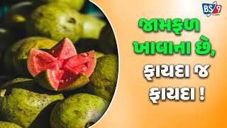 Health | જામફળનું સેવન કરવાથી અનેક સમસ્યાઓ થાય છે દૂર | BS9 TV NEWS