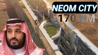 THE LINE: Saudi Arabia's City of the Future in NEOM