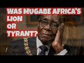 Robert Mugabe: Africa’s Lion or Tyrant?