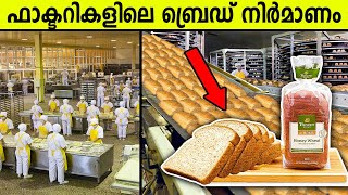 ഫാക്ടറികളിൽ ബ്രെഡ് നിർമ്മിക്കുന്നത് എങ്ങനെയെന്നറിയേണ്ടേ ?  Bread Making process in malayalam