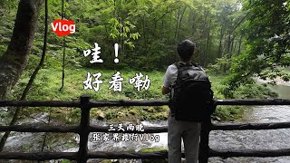 张家界旅行Vlog，端午节三天两晚自由行。说得最多的就是，哇！好看嘞