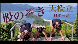 【天橋立】股のぞき　ビューランド　Vlog　京都　観光スポット　日本三景　後編