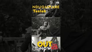 @TeslahKenya  - Ndugaikare | out now