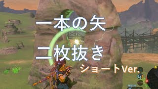 二本槍の獣＆ミーズー・ヨの祠　【ゼルダの伝説ブレス オブ ザ ワイルド】（WiiU版） 分割