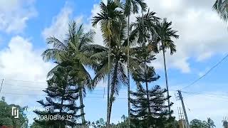 my vlog, Dhupguri clouds, beautiful nature