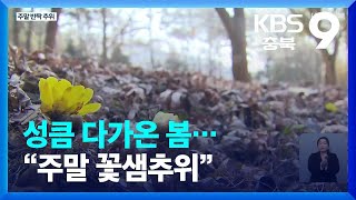 성큼 다가온 봄…“주말 꽃샘추위” / KBS  2023.02.24.