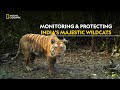 Population & Status of Tigers in India | Counting Tigers | हिंदी | S1 - E1 | Nat Geo Wild