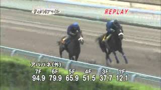 アパパネ 追い切り ヴィクトリアマイル 2012/05/13 美浦･国枝