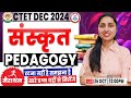 CTET DEC 2024 | CTET Sanskrit Pedagogy Marathon #01, संस्कृत, Sanskrit PYQs, Sanskrit By Sheetal Mam