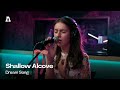 Shallow Alcove - Dream Song | Audiotree Live