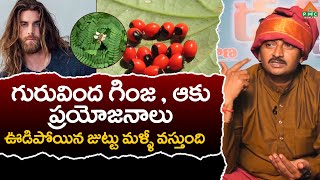 గురువింద గింజ , ఆకు ప్రయోజనాలు  | PMC Health