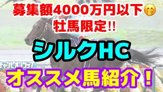 【募集馬検討】4000万以下でもシルクは凄い‼️21年産駒を血統だけで診断✨この中から種牡馬になりそうな馬も⁉️