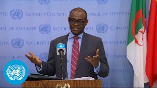 Sudan on the Country - Security Council Media Stakeout | United Nations