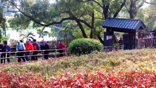 一滴水紀念館(淡水和平公園)