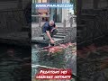 Koi pond in japan with Manu Koi