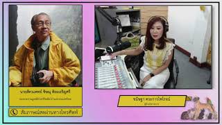 ปลอกคอกันเห็บหมัด ช่วยลดเห็บหมัดได้จริงหรือไม่ อันตรายไหม : FM91 คลินิกสัตว์เลี้ยง