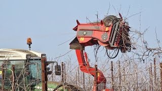 Stralciatrice ERO VITECO Crane Pruner + Fendt 211 P