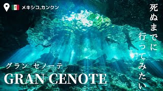 【カンクンツアー】お客様全員が大絶賛！！神秘の泉グランセノーテが人気の理由！更衣室はあるの？入る前に何が必要？